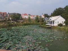 -大塘金香草谷