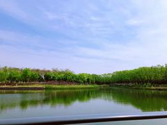 -大兴滨河森林公园