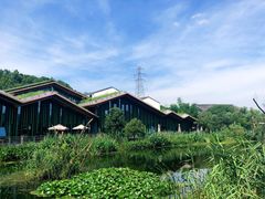 -西湖风景区-江洋畈生态公园