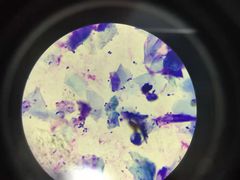 -关爱动物医院·心脏·中兽医·异宠(金牛路分院)