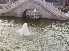 -碑林公园