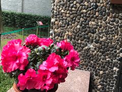 -上海孙中山故居纪念馆