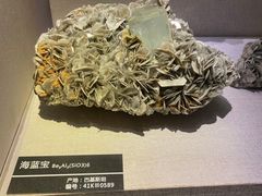 -河南自然博物馆