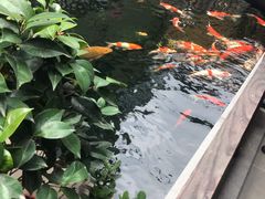 -华庭苑农家乐(旺山店)