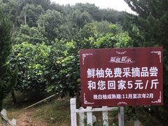 -洈水景区