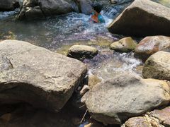 -广州白江湖森林公园