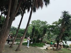 -星湖旅游景区七星岩