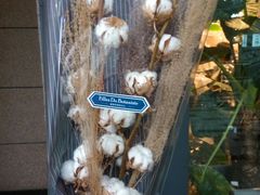 -植物学家的女儿(北马道巷店)