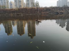 -前关湿地公园