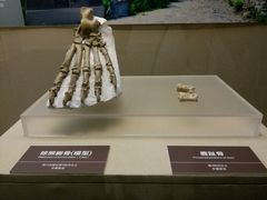 -嘉定博物馆