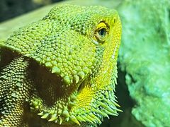 -天津zoonly动物主题公园