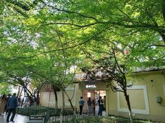 -湖畔居茶楼(湖滨店)