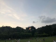 -星城影院(横岗店)