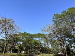 -顺峰山公园