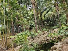 -深圳龙潭公园