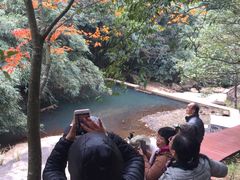 -广州市石门国家森林公园