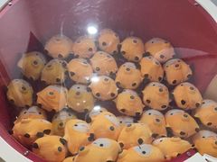 -极橙儿童齿科矫正中心(奥城店)