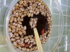 -红鼻子桂林米粉(金唐新光界店)