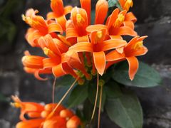 -容闳故居遗址展示馆