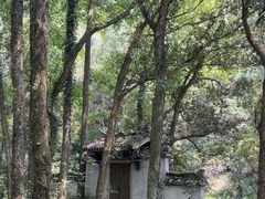 -富春桃源风景区
