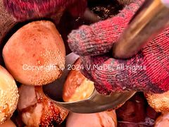 胡椒饼-百年夯碳烤胡椒饼(阿拉城店)