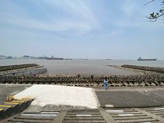 -上海滨江森林公园