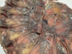 -大胖骨汤火锅(裕华店)