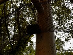 -泉州海丝野生动物世界