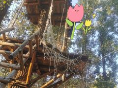 -蟠龙山长城景区