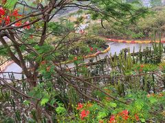 -松山湖梦幻百花洲