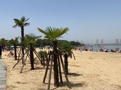 -瑶湖郊野森林公园