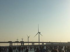 -南汇新城海滩