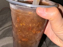 铁真古法自制酸梅汤-铁真·刨冰红焖羊肉·正宗老字号