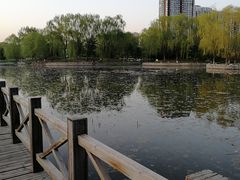 -望湖公园