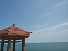 -广东惠东海龟国家级自然保护区