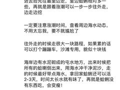 -刘家湾赶海园