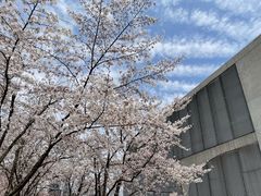 -龙美术馆(西岸馆)