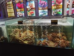 水产区-蟹之国·精品蟹料理(极地店)