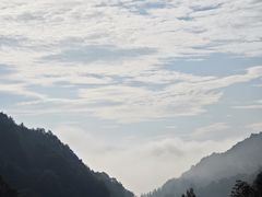 -栾川竹海野生动物园