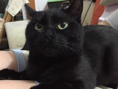 -红星电影世界开元地中海店(RealD杜比全景声)