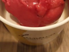 树莓雪葩-LUNEURS月乐诗 冰淇淋咖啡(环贸店)