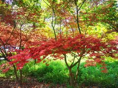 -敬亭山风景名胜区