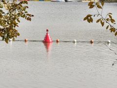 -昆山城市生态森林公园