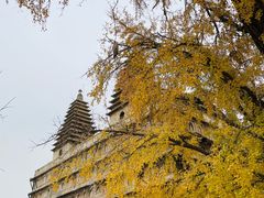 -北京石刻艺术博物馆(五塔寺)