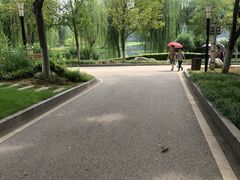 -后襄河公园