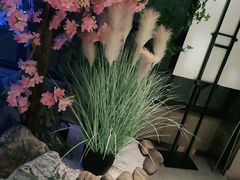 -野妹火锅(龙岗店)