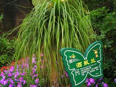 -呀诺达热带雨林