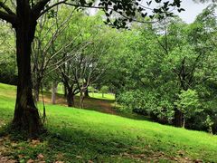 -广州市白云山风景名胜区