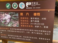 -野象谷景区