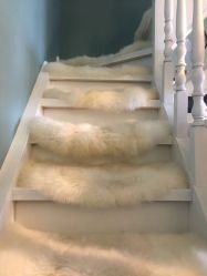 -YOUNGSKIN氧研皮肤管理中心